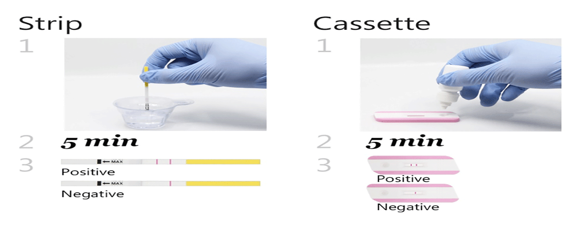HG Test & LH Test